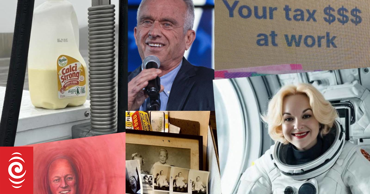 The oddest news RNZ covered in 2024