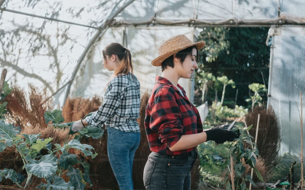 two women working with plants