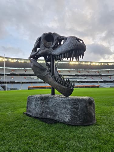 Sculptures secured for wild and windy Art in the Park opening | RNZ