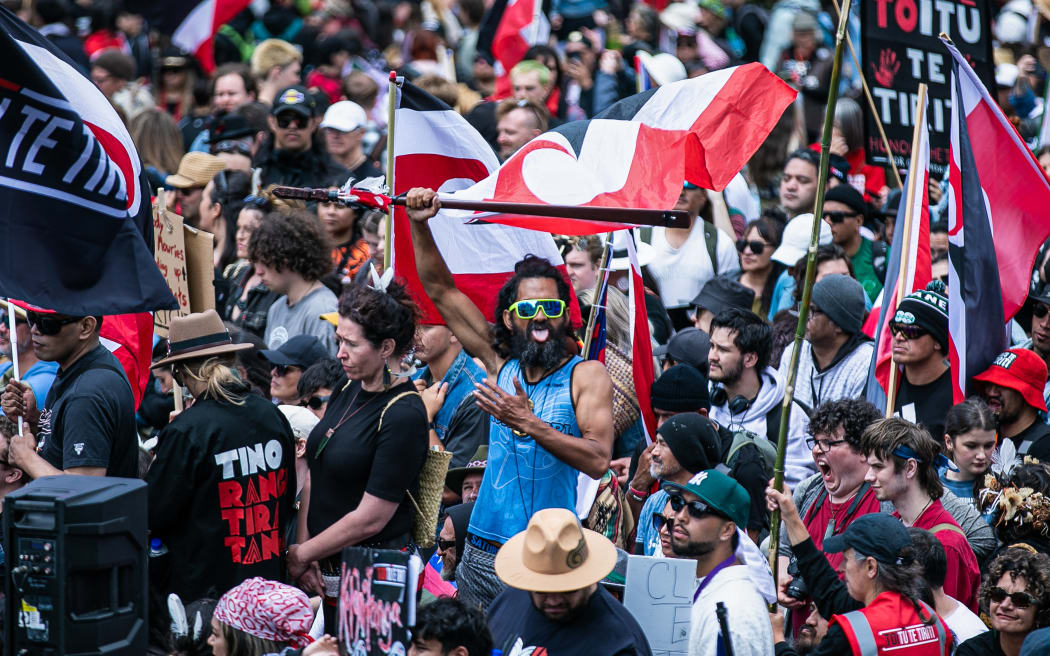 Scenes from the 2024 Hikoi to Parliament in protest against the treaty principles bill.