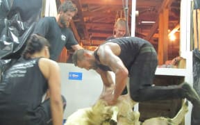 Stacey Te Huia