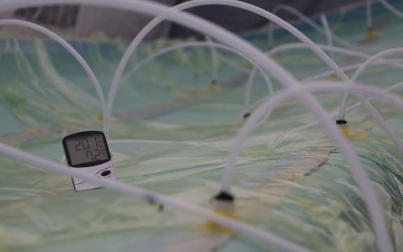 Plastic tubes in a semi-circle shape.