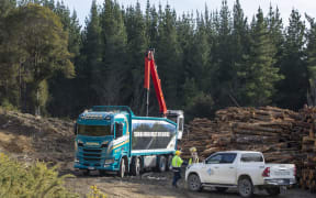 New binwood biofuel truck for OneFortyOne NZ Forests at Wakefield near Nelson.