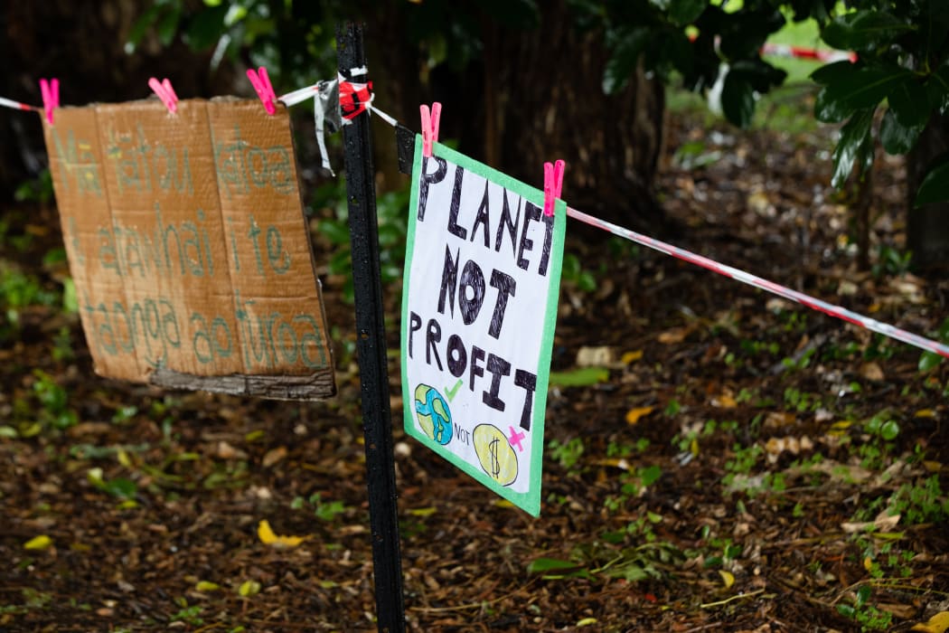 Thirty native trees at a Canal Road property in Avondale are facing the chop.
