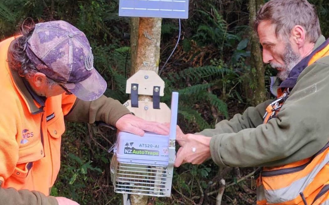 NZ Auto Traps has designed a trap that turns off during the day to avoid killing native birds, and can reset itself.