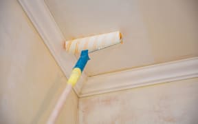 painting a gypsum plaster ceiling with paint roller. repairs