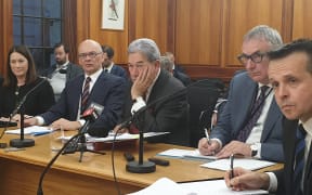 Winston Peters at the select committee today.