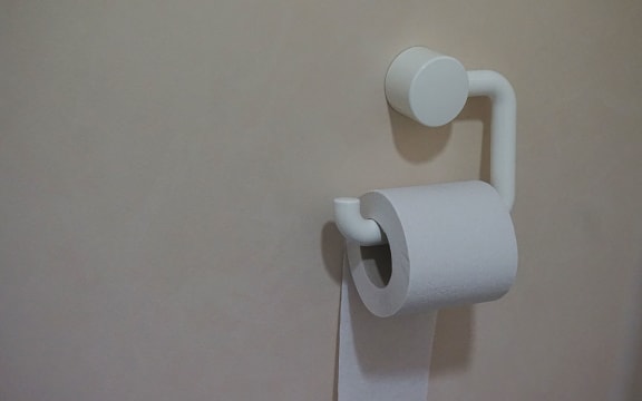 toilet roll