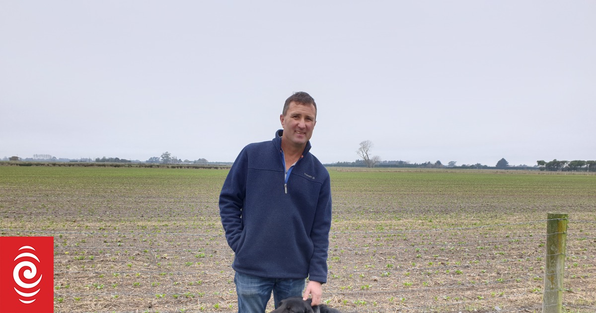 Thirty-two more dairy farms for Canterbury; some grain growers go for milk