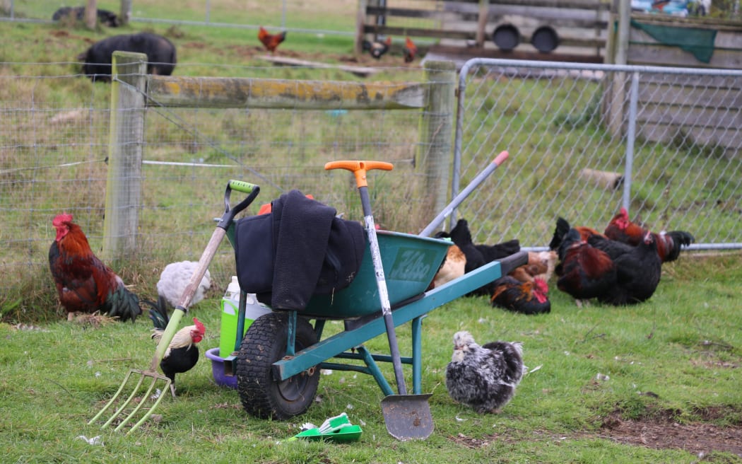 Canterbury Tails Animal Rescue