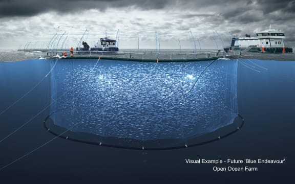 A mock-up image of what the Blue Endeavour open ocean salmon farm in Cook Strait could look like.