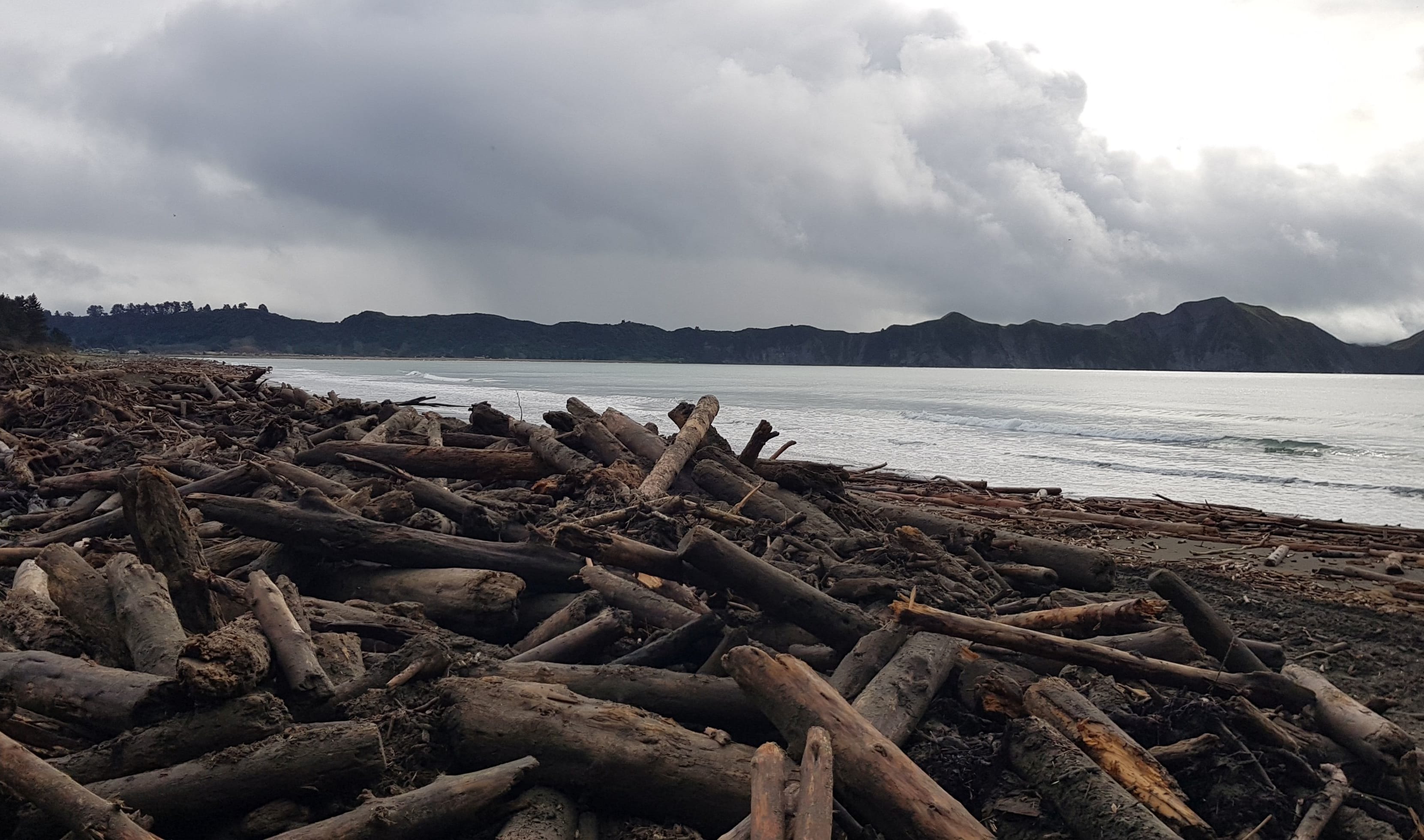 Slash debris after flooding in Tolaga Bay.