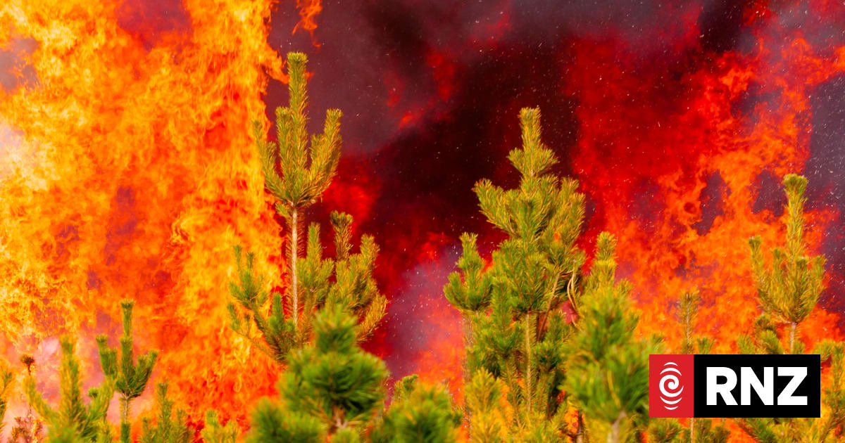 Wildfires in Canterbury brought mostly under control