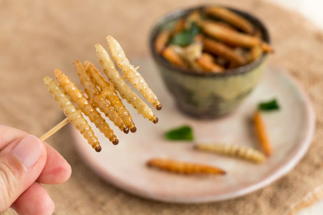 Eating insects