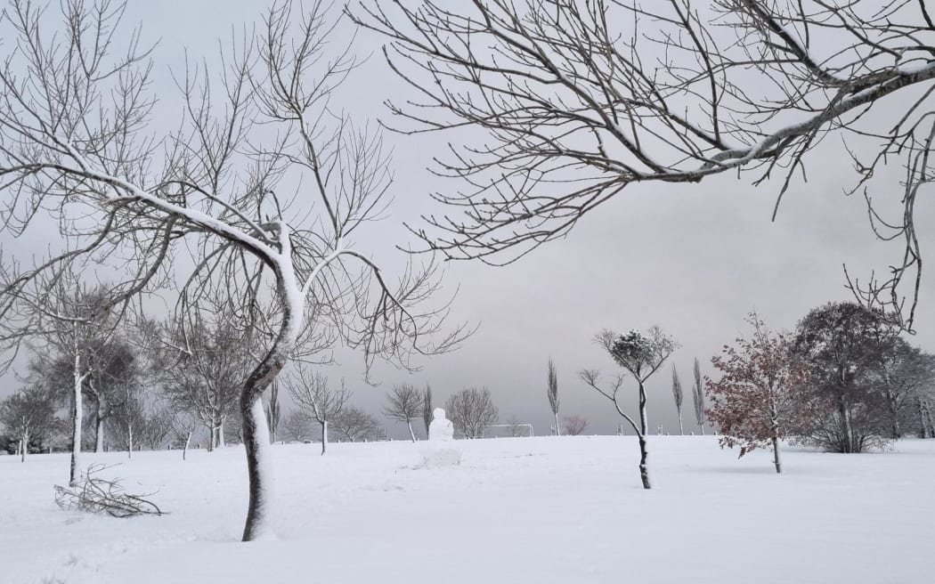 Snow in Dunedin's hill suburbs.