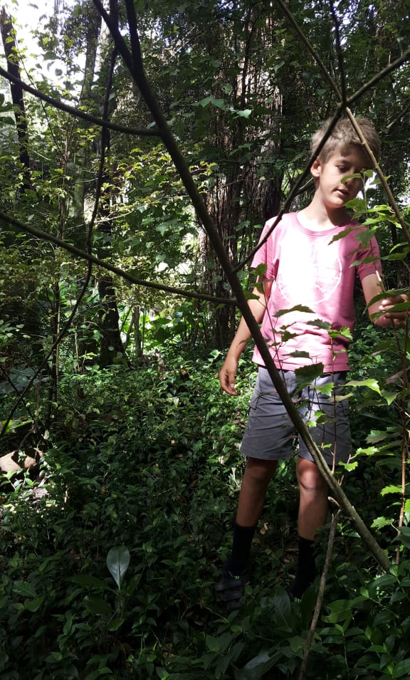In his element - Olly Hills looking for insects in the steep gully behind his Hamilton home.