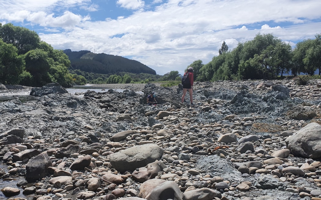 The Hutt River follows the Wellington Fault, which is surrounded by a damage zone of grey crushed rocks.