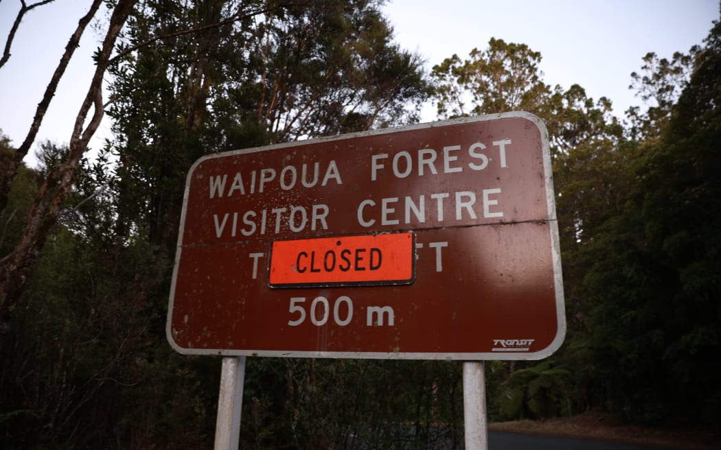 Dozens of residents from the Waipoua Settlement in the Kaipara District in Northland have been evacuated, as a large fire continues to rage in grassland and pine forest nearby.