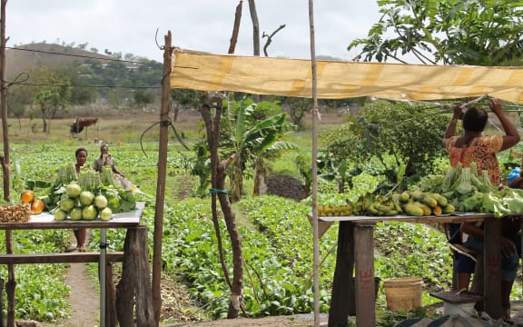 Food production in Papua New Guinea