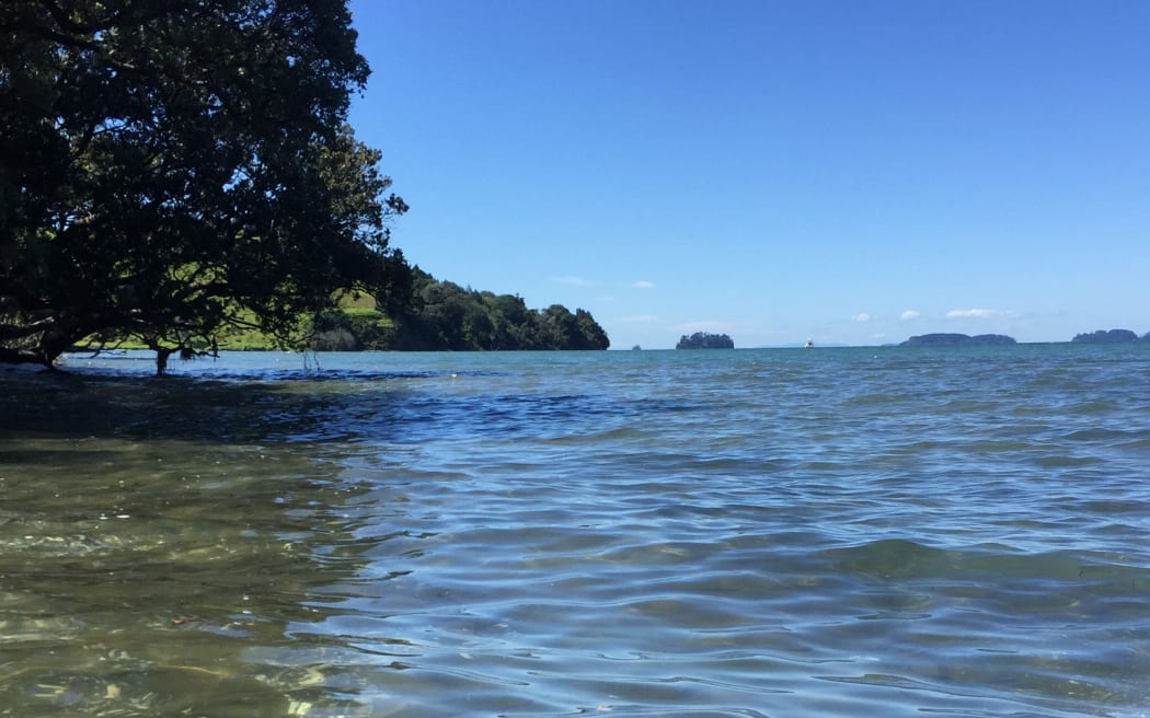 Baddeleys Beach, Tāwharanui Peninsula