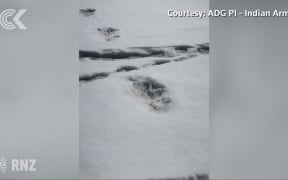 Do these footprints belong to the Yeti?