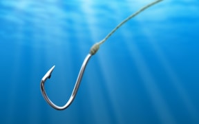 fish hook