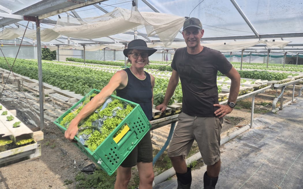 Country Life | RNZ News