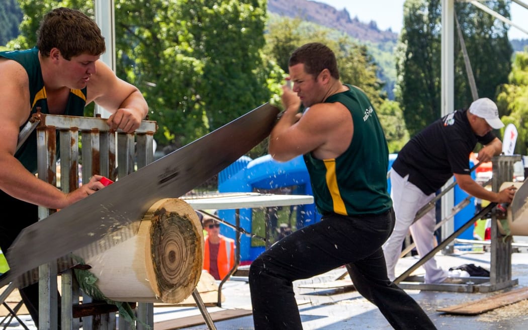 Jamie Head from Queensland (left) on his way to winning the individual ANZAXE Wood Chopping Trans Tasman title.
