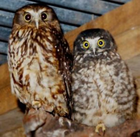 Owle MacPherson with daughter Owlfalfa