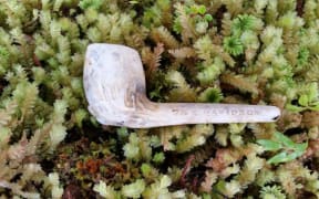 The pipe is believed to be owned by explorer William Docherty