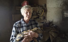 Stu Edmonson has looked after about 100 pigs on his rural Coromandel property since 2005