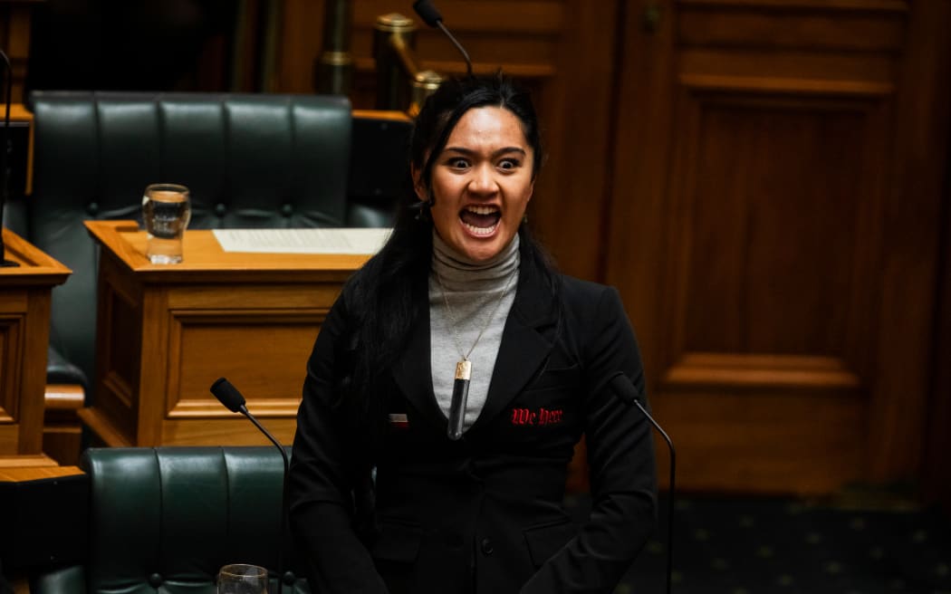 Te Pāti Māori's Hana-Rawhiti Maipi-Clarke interrupted the vote on the Treaty Principles Bill's first reading with a haka taken up by members of the opposition and people in the public gallery.