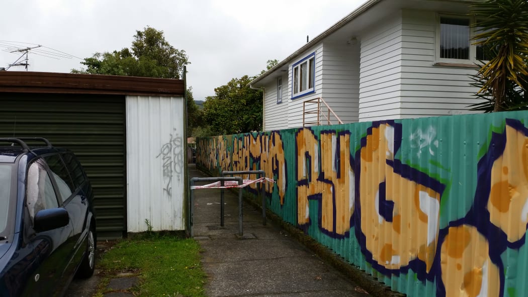 The alleyway connecting Blueberry Grove and Norana Road - where a woman was allegedly shoved against a fence.