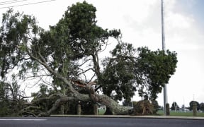 Levin tornado - Playford Park
