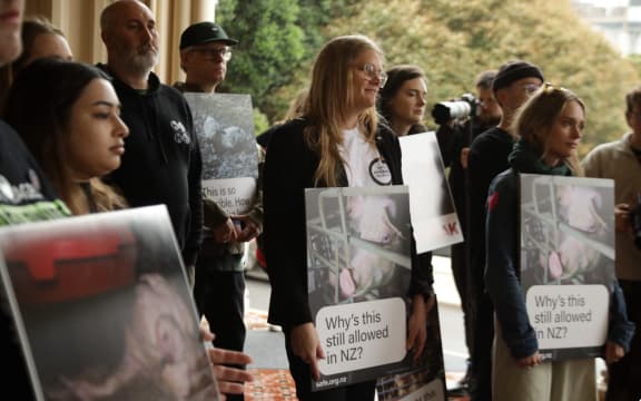 A petition launched by a group of animal protection organisations was taken to Parliament on Tuesday calling on the Government to establish the parliamentary commissioner role.