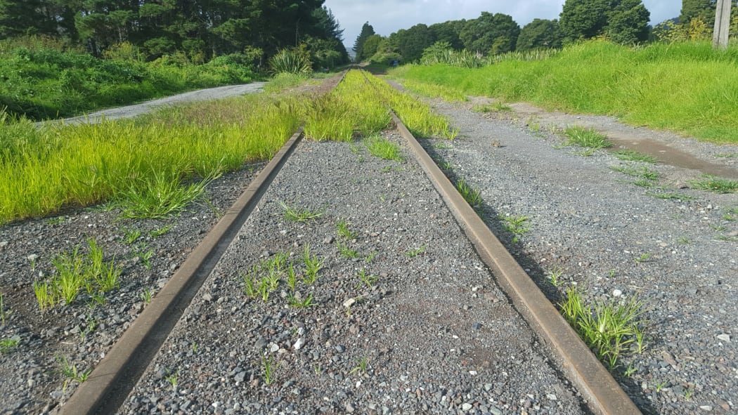The Northland railway line at Otiria. The line from Otiria to Kauri will be mothballed in August.