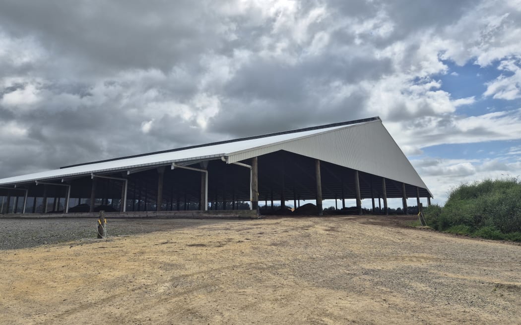 The shed measures 90-metres long by 60-metres wide, and is large enough to house 650 cows.