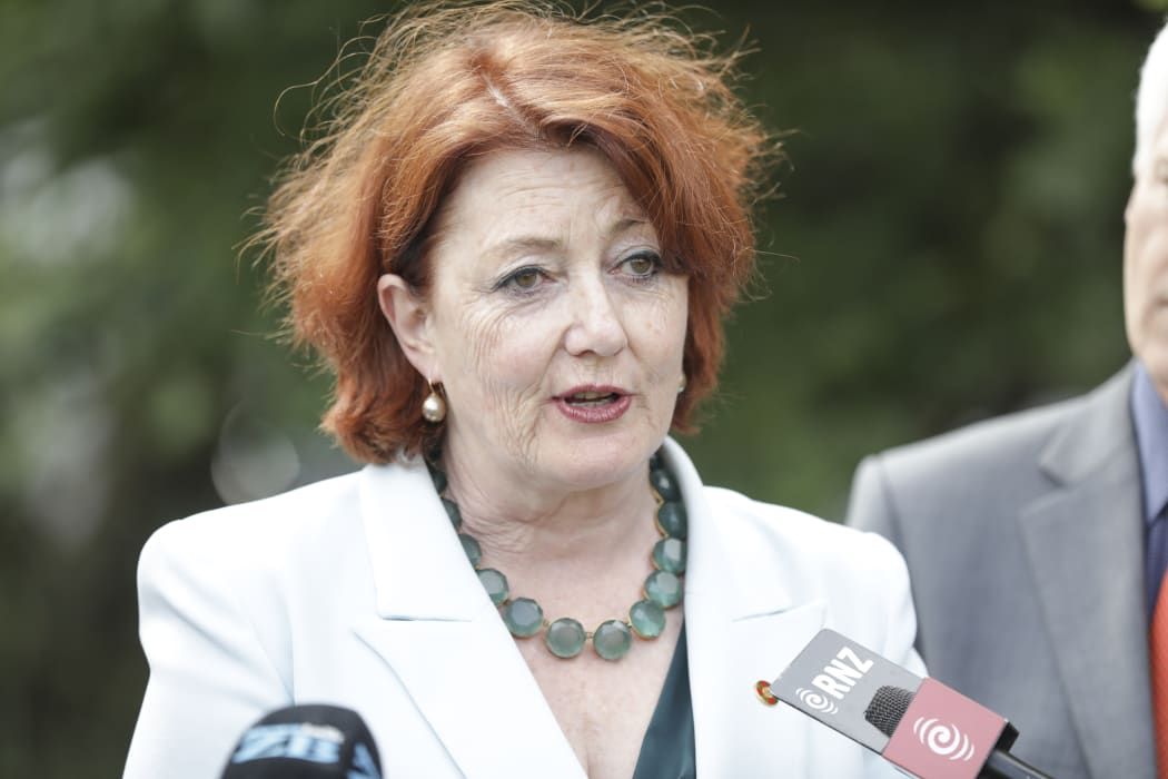 National MP Maggie Barry supports National MP Amy Adams as she announces she will stand for National Party leader.