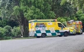 Possible homicide in Kakariki Grove in Waikanae