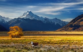 Farm land near Mt Cook, Canterbury.
