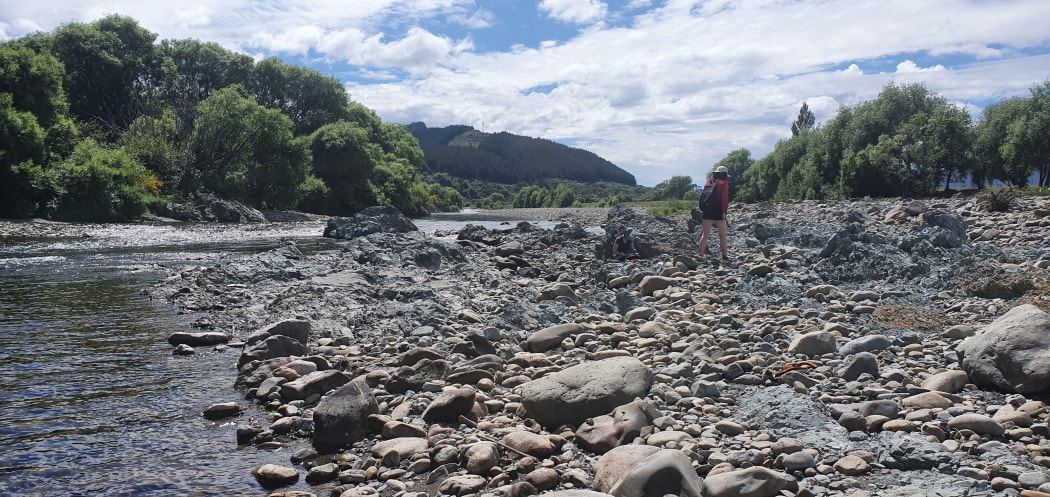 The Hutt River follows the Wellington Fault, which is surrounded by a damage zone of grey crushed rocks.