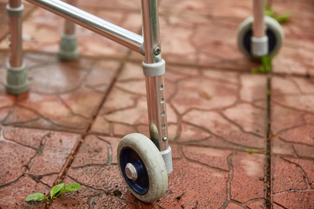 Wheel walker for adults. Close-up