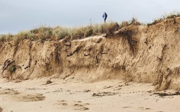 Initial assessments show the east coast between between Cooks Beach and Matarangi to be the hardest hit by Cyclone Hale.