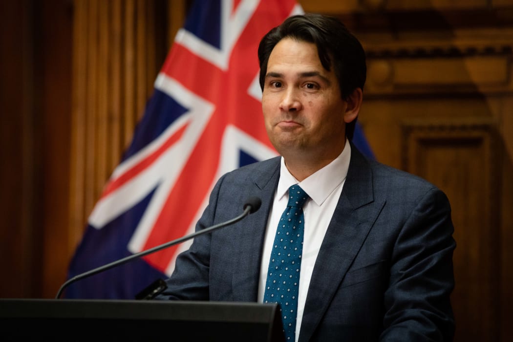 Simon Bridges addresses media after Judith Collins loses her leadership