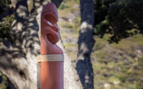Pou vandalised on Aotea Great Barrier Island