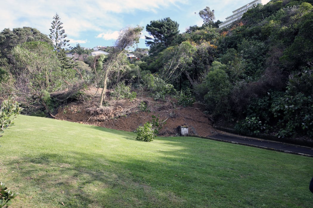 View of slip on land just in front of rest home.