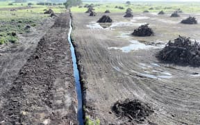 New Zealand Watermelon Distributors Limited's Paul Martin Harvey was ordered by the Environment Court to stop developments on the protected Kaimaumau-Motutangi Wetland, and to undertake remediation work.