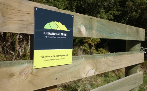 Native Forest Restoration Trust is supporting a crowd-funding campaign to save a block of pristine wetland forest in Taranaki.