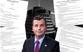 The Regulatory Standards Bill was introduced by ACT Party leader David Seymour.