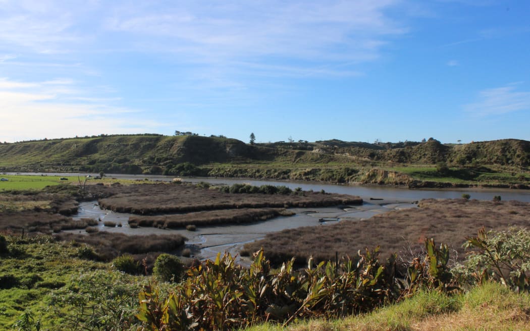 Volunteers have planted more than 500 buffer plants at the Pātea Saltmarsh.